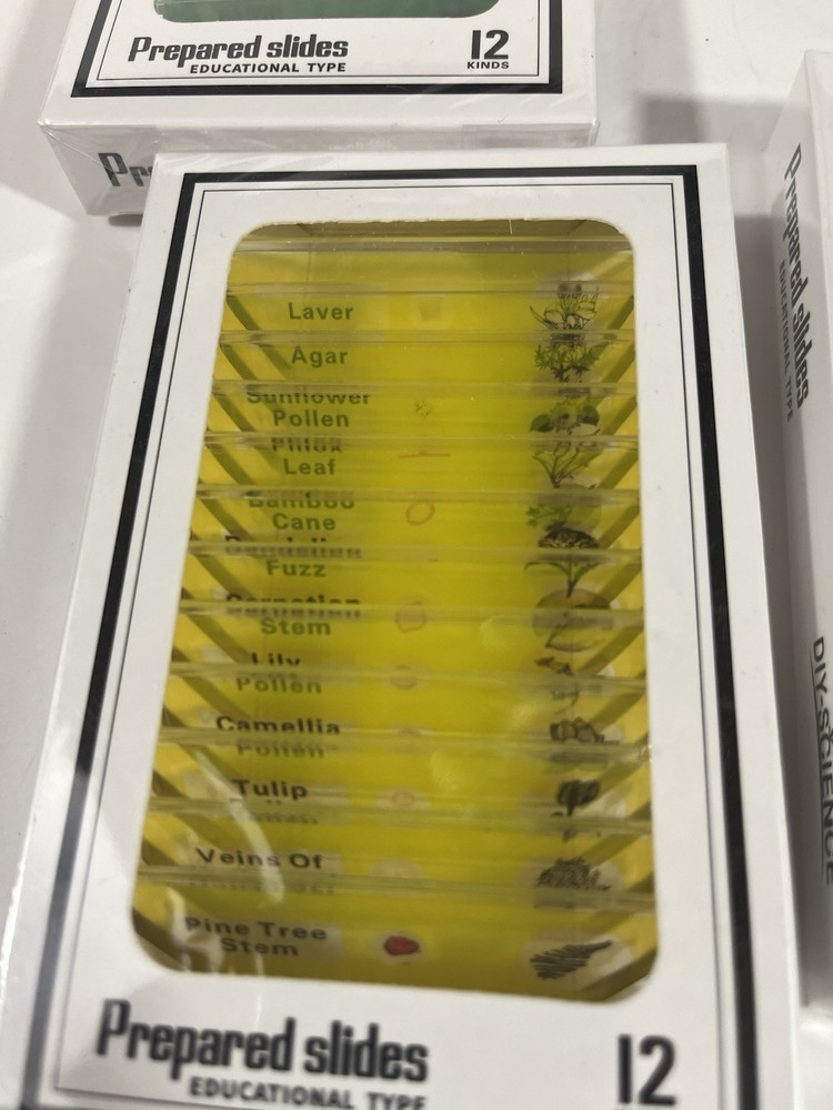 Prepared Microscope Slides Lot Educational Type