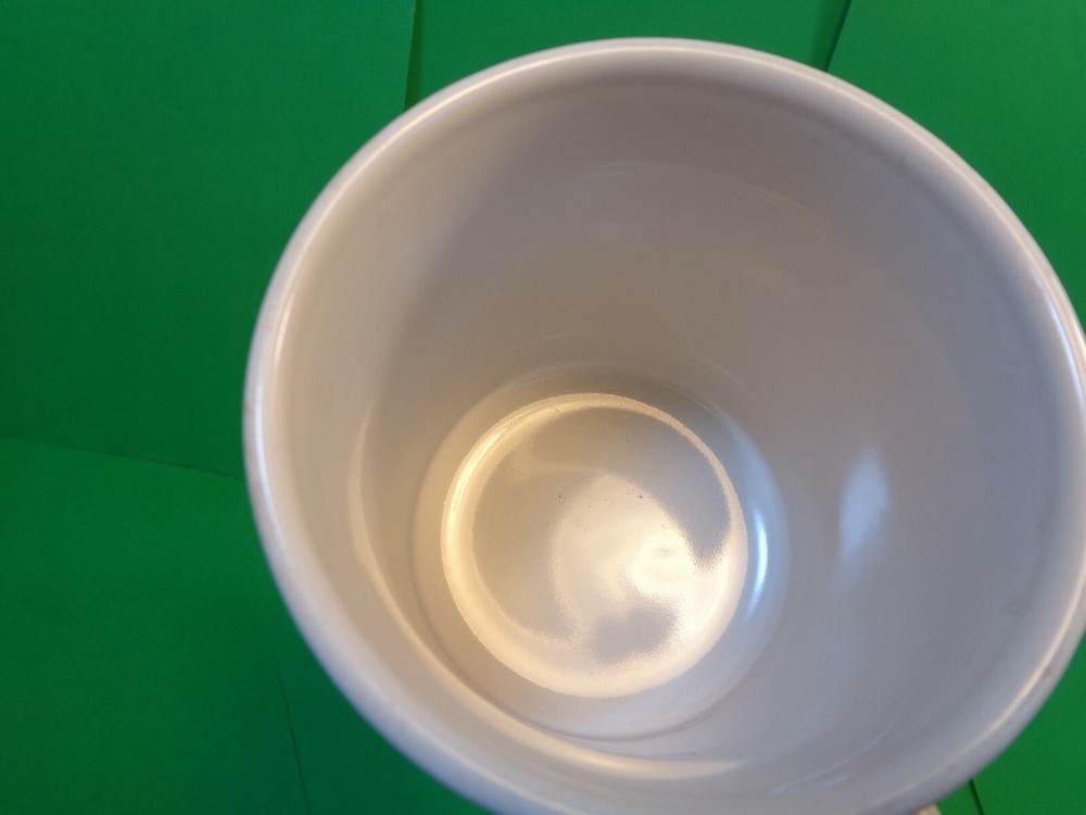 Moose Momentum/Catch The Wave Coffee Mug, MWare (Used/EUC)