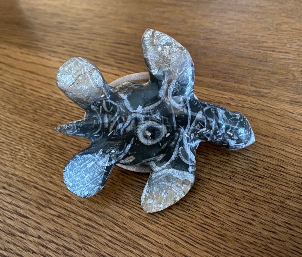 Stone Turtle Figurine on Agate Slice (#A)