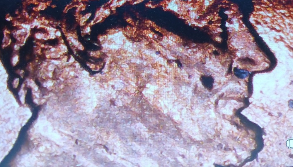 2023 Lincoln Cent Extra V Error Coin