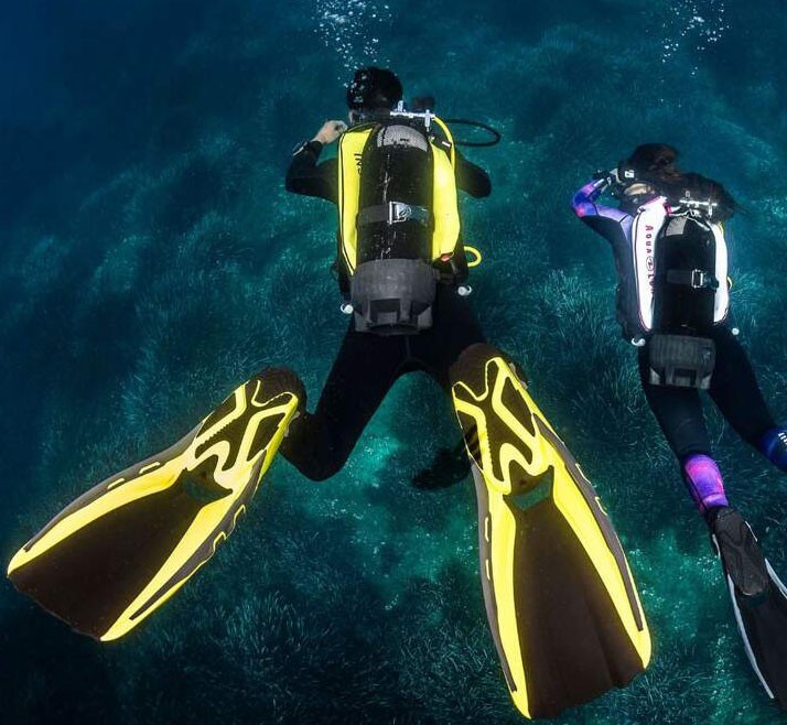 Aqualung Phazer Fins