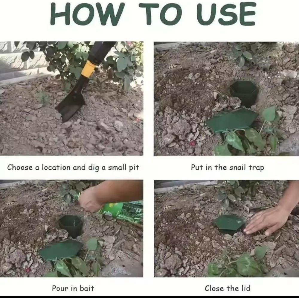 High Quality Snail Trap Durable Slug Safe Plastic Cage