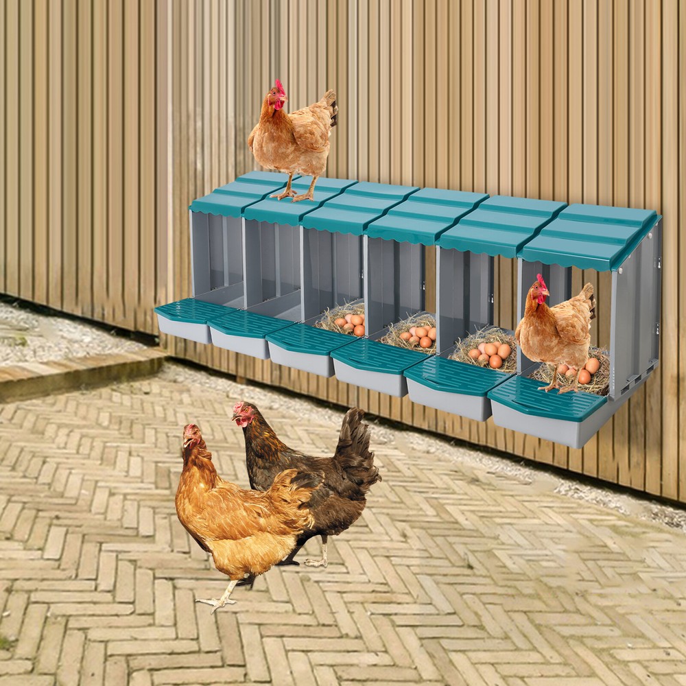 6 Compartments Chicken Laying Boxes with Egg Collection Nesting Boxes Green US