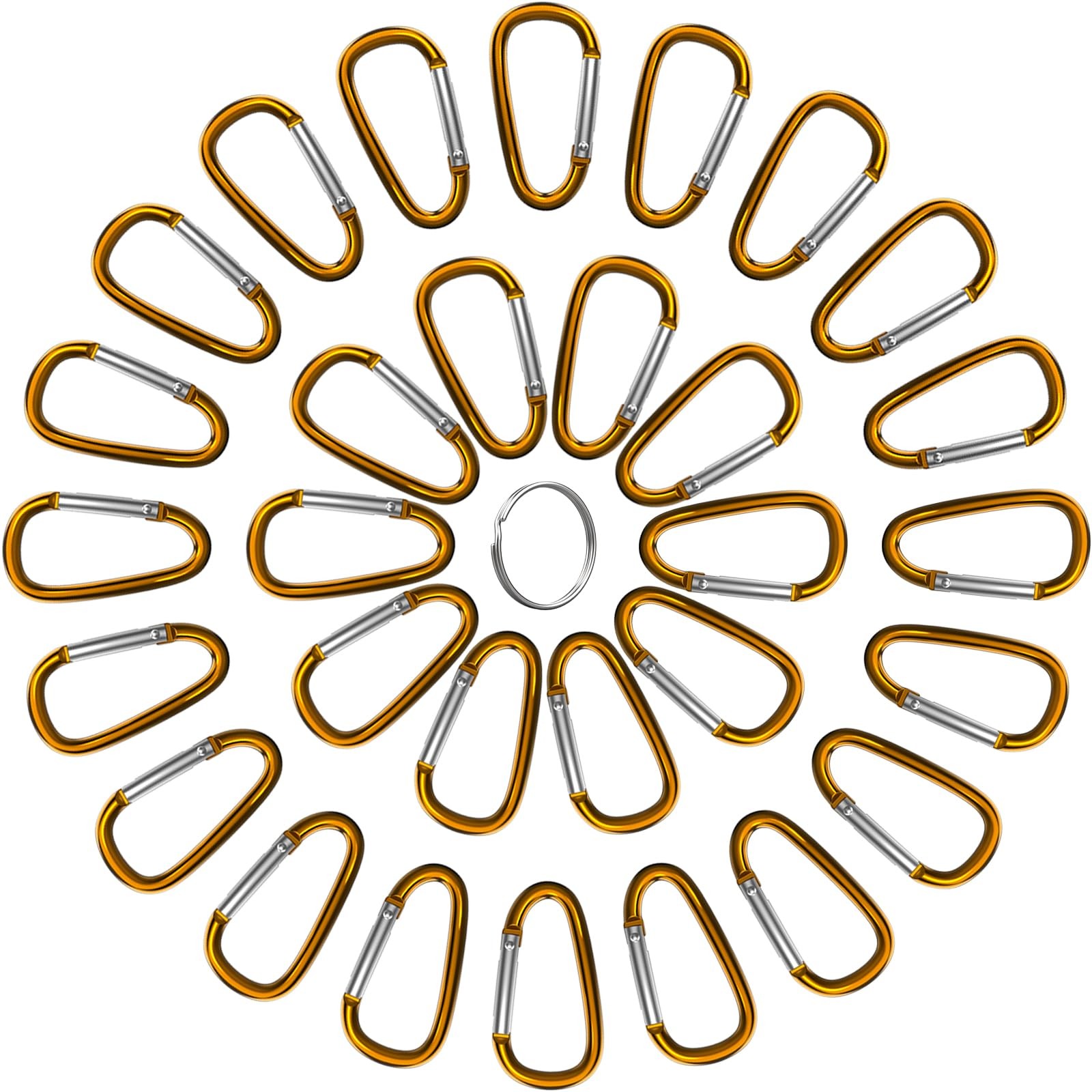 30PCS 2" Mini Carabiner Clips, Small D Shape Carabiner Keychains with 30PCS K...