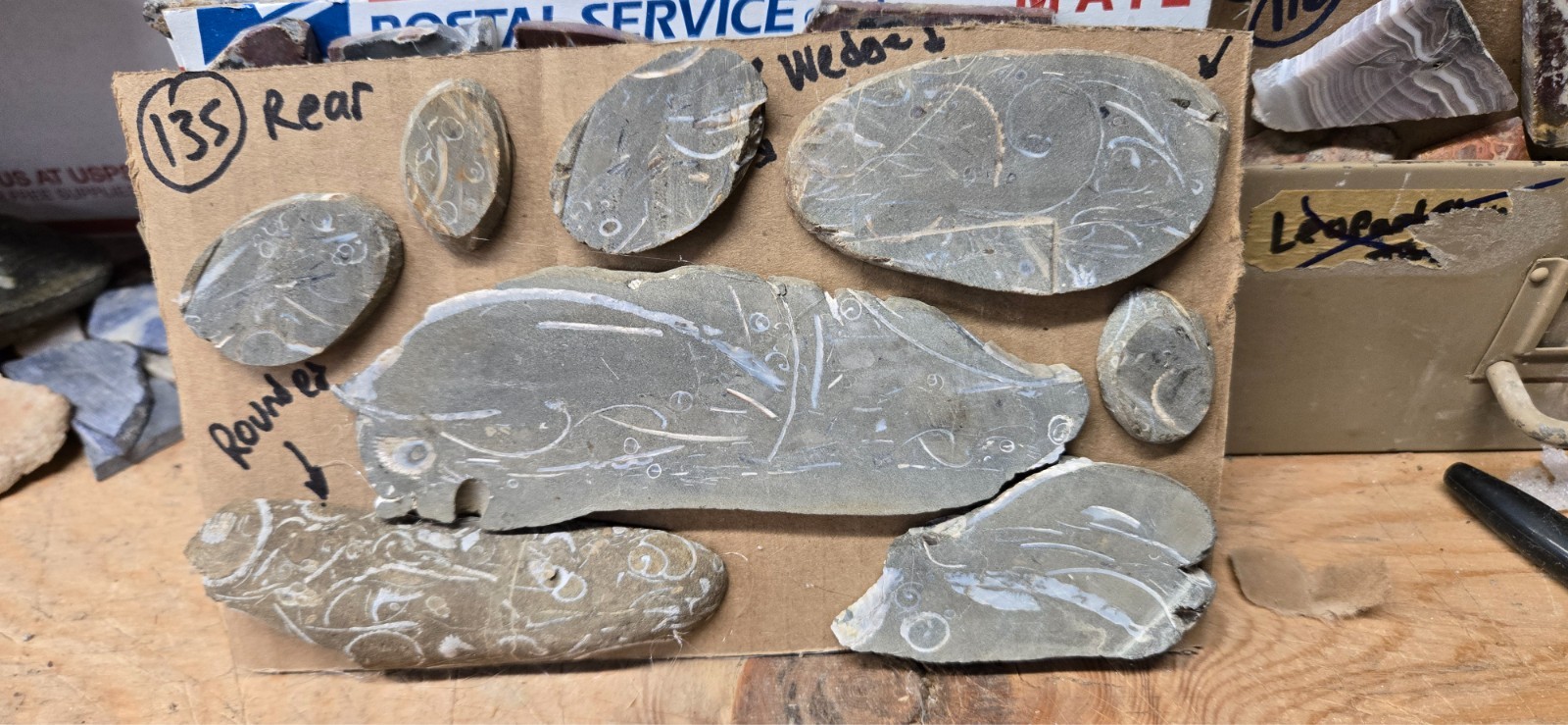 Purisma Formation Fossil Limestone, Cabochon Slabs Preforms 13 Pcs, Flat 135