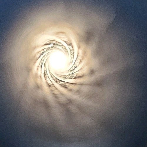 Knight Black Knight Muzzleloader Rifle 24" Barrel Without Breech Plug (C)