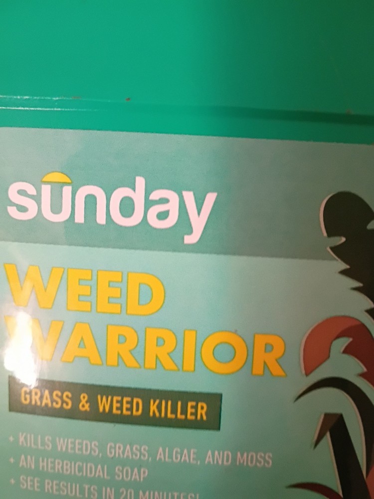 Sunday Weed Warrior Grass Algae Moss Herbicidal Soap , 32 fl oz