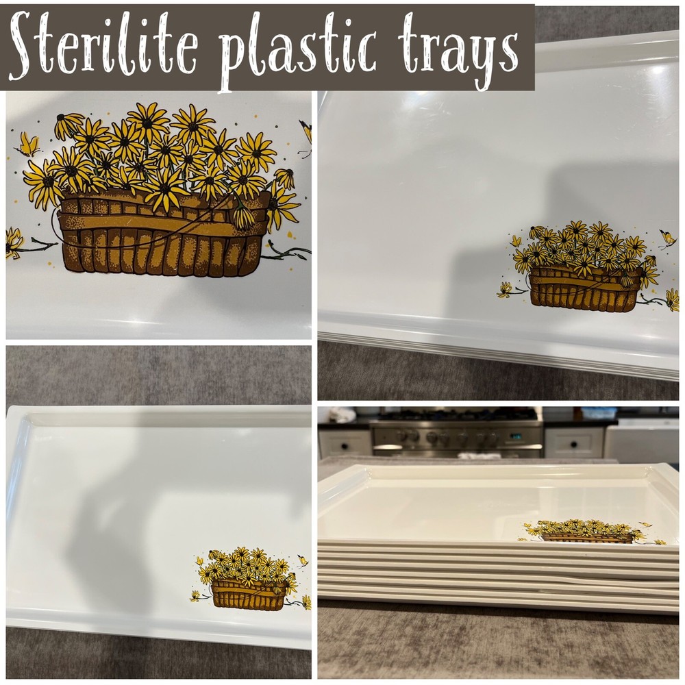 RARE Sterilite Trays-8