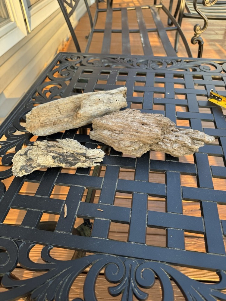 Driftwood