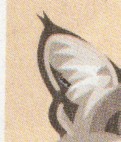 Scott #4672 2012 Bobcat Single Coil Stamp - MNH