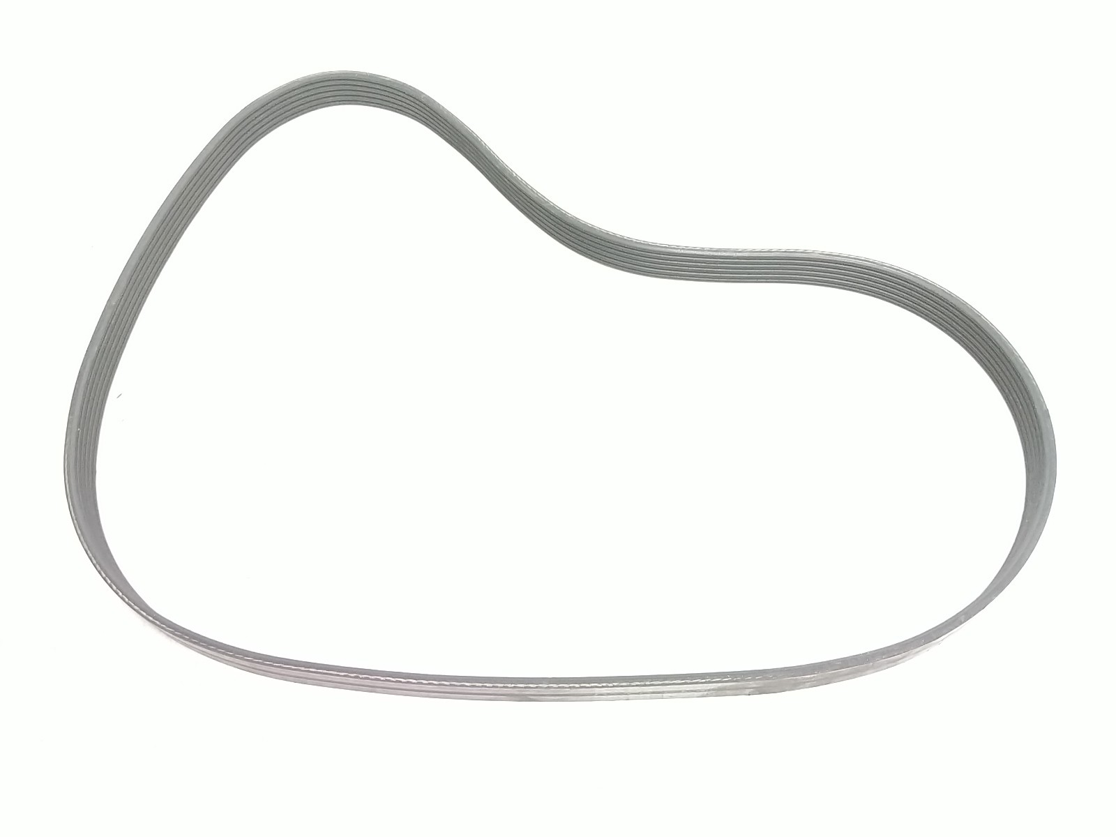 18 Vanderhall Venice Serpentine Belt 5860475