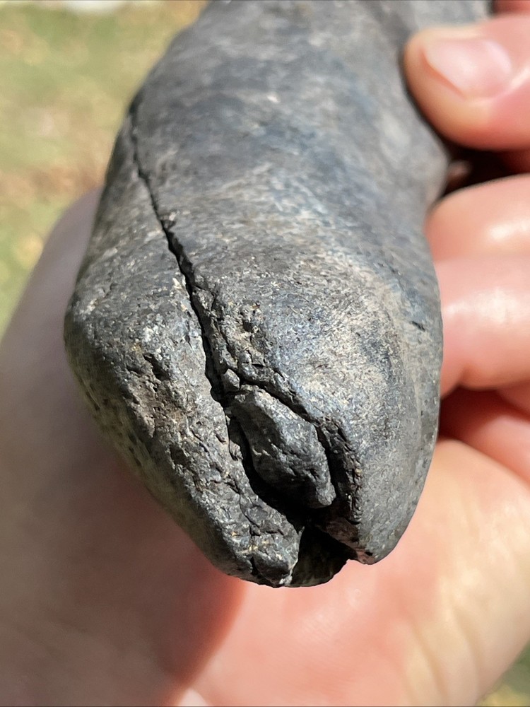 Very Rare Solid Unknown Fossil Segment-Not Modern-read description