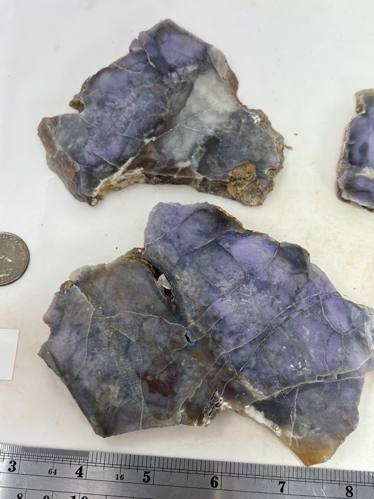 Burro Creek? Jasper slabs for Cabbing Lapidary Combo Ship Avail
