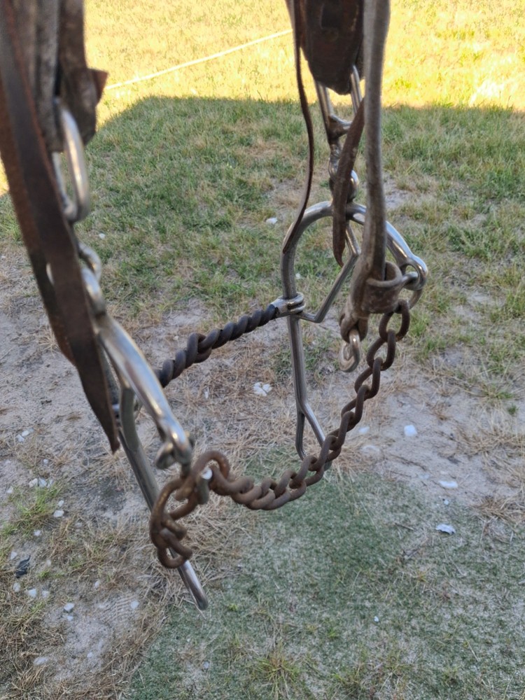 headstall with combination bit