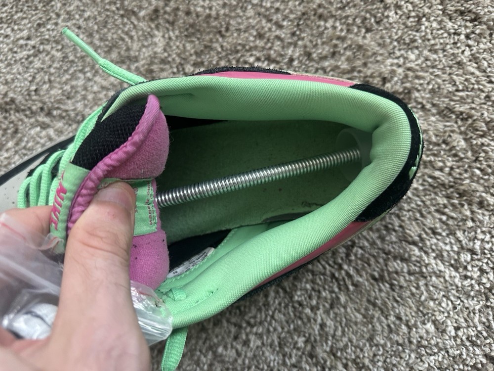 Nike SB Dunk Low Poison