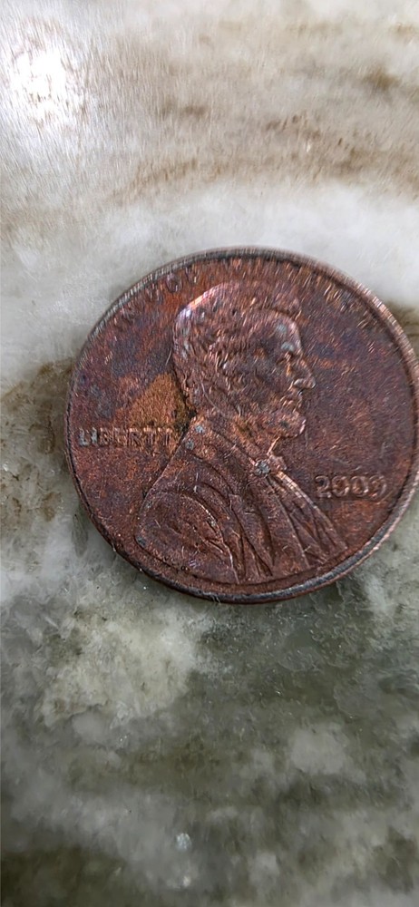 2009 1C Lincoln-Professional RD Lincoln Cent