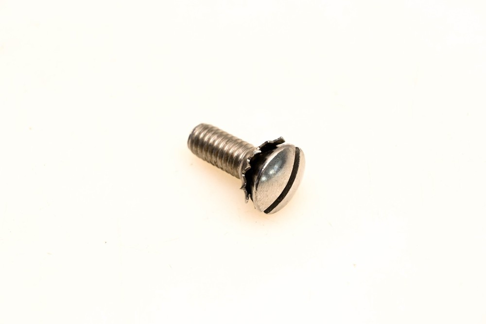 OMC 310477 Plate Screw NOS