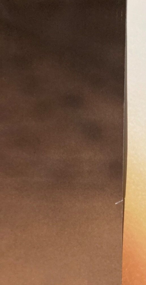 Celine Dion 1998 Two-Sided Promo Poster Glossy Surface Album Catalog