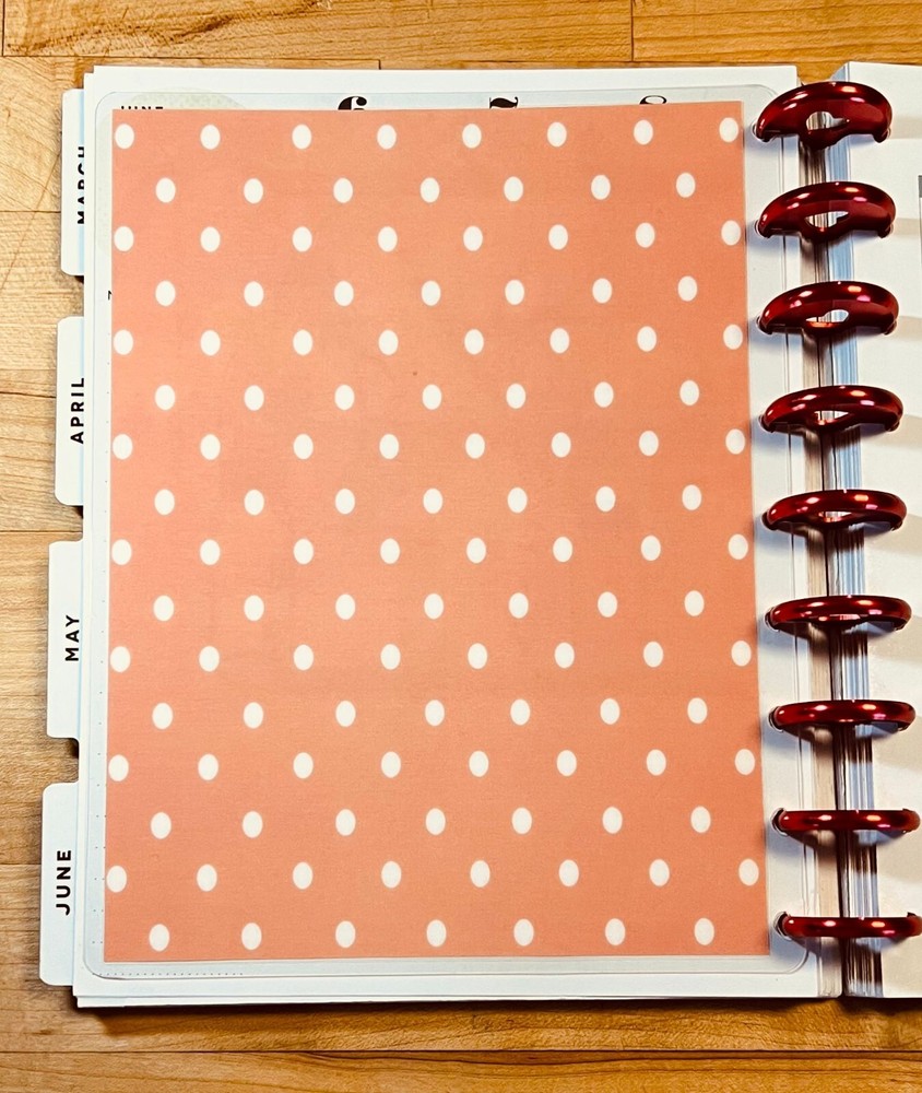 Mason Jar Dashboard Insert for use with Classic Happy Planner-