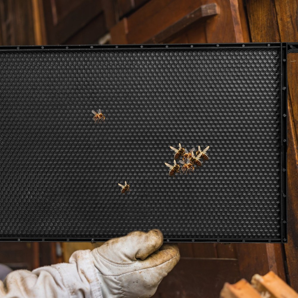 Integrated Beehive Frame with Nest Foundation for Beekeeping Efficiency