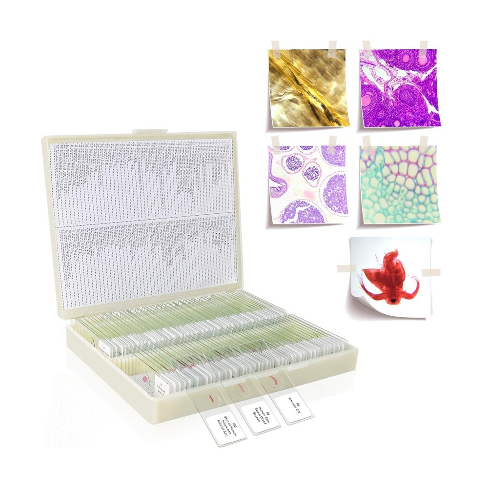 100Pcs Prepared Microscope Slides Set Professional Specimens for Kids Student...