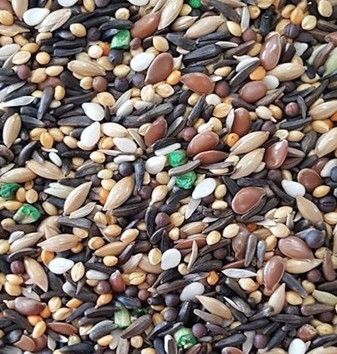 Canary Song Food Treat For Canaries FRESH!!! From Bulk Choose Size!!!