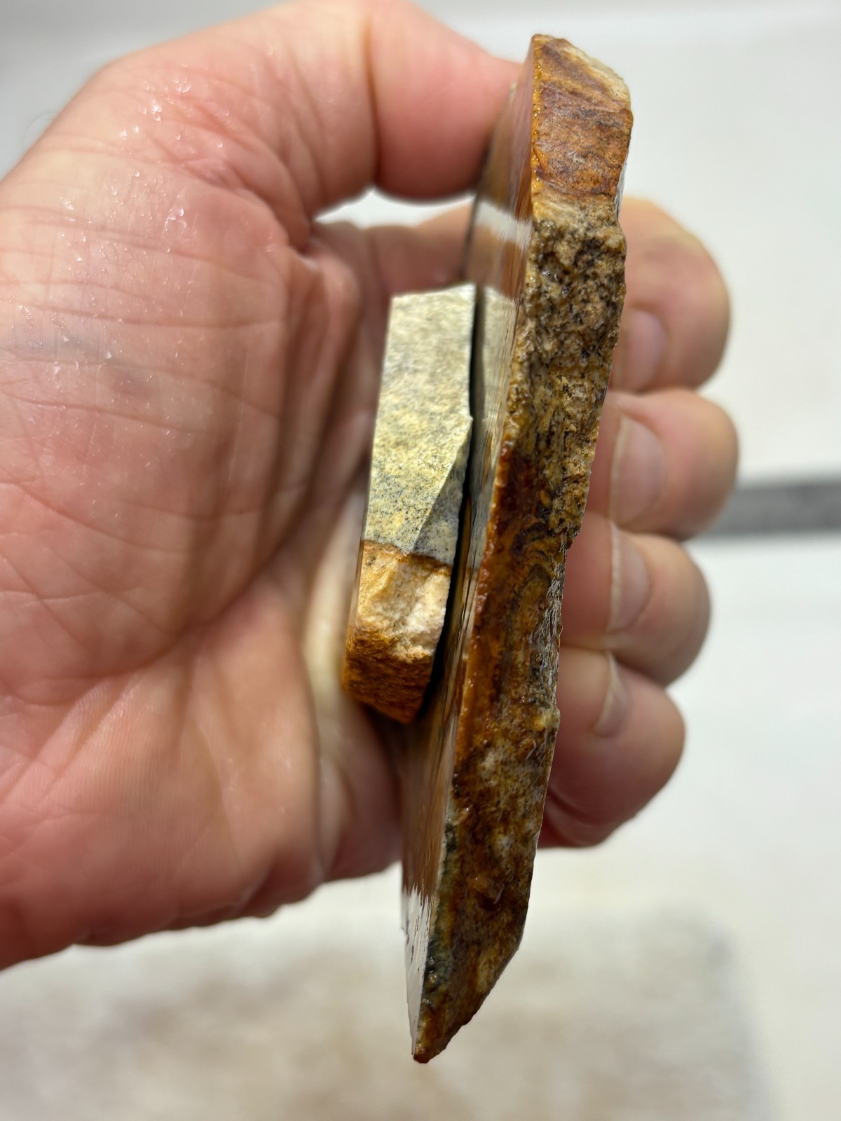 Disaster Peak Picture Jasper Cabbing Lapidary Collecting Combo Ship Avail