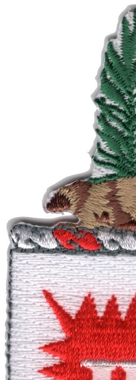 3rd Engineer Battalion Patch