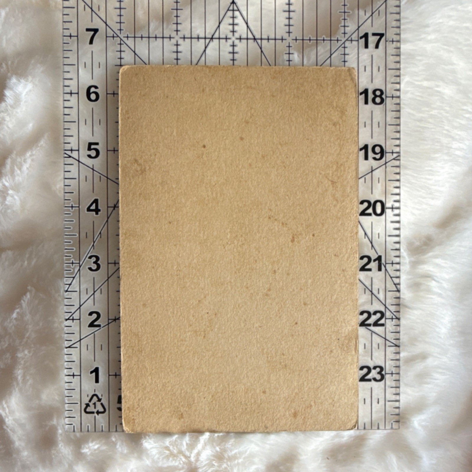 Wendt Cabinet Card Photograph Child Sepia Ivory Process Portrait