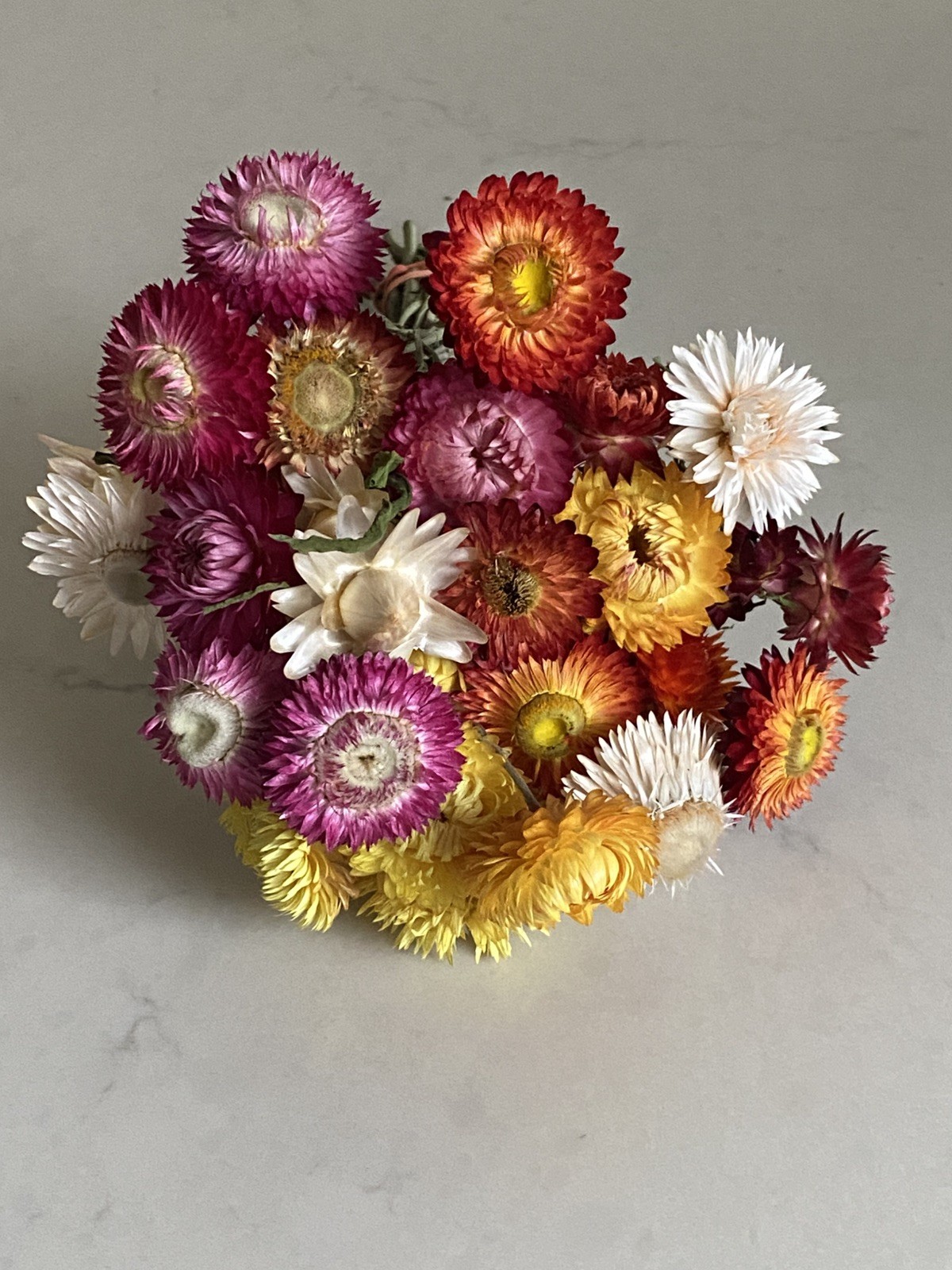 Beautiful STRAWFLOWERS Mix Assorted Bunch BOUQUET Bundle DRIED Flowers USA Auc#2