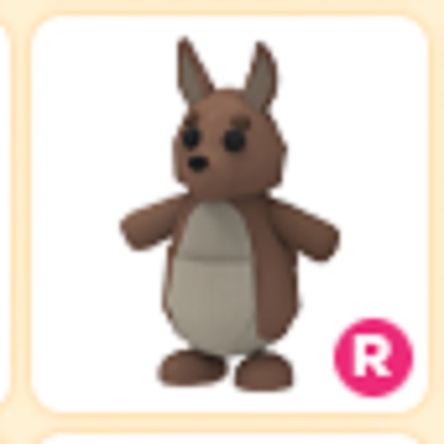 R Kangaroo Cheap & Trusted Store!!