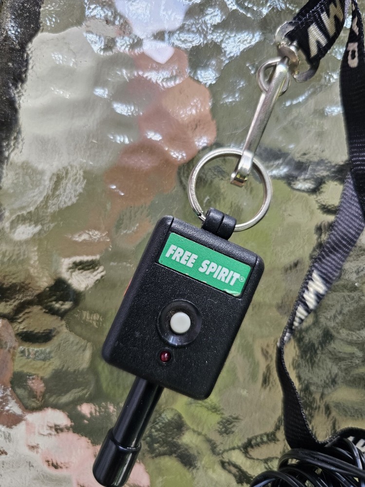 Innotek Free Spirit Dog Basic Remote Trainer FS-50A Receiver Controller w/ Case