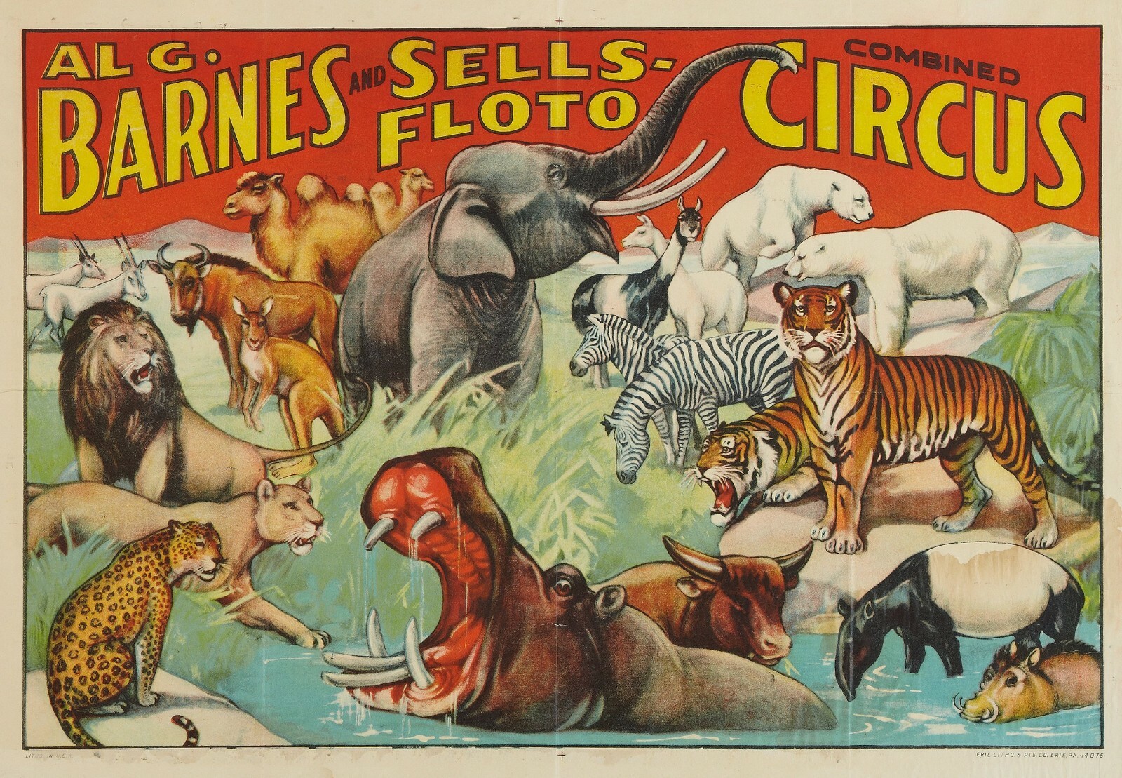 Circus, Clown, Carnivals, Posters, vintage photo reproduction High quality 524 *