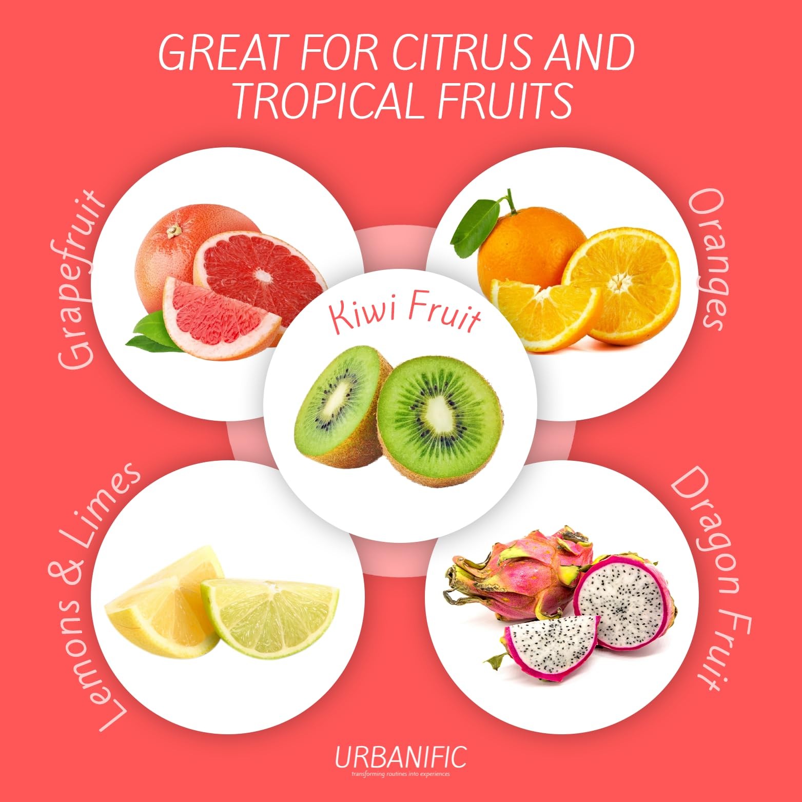 Grapefruit Spoons Set Serrated Edge Stainless Steel Fruit Sieve 4P