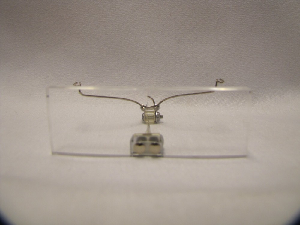 Vintage Magnifier Glasses in Case