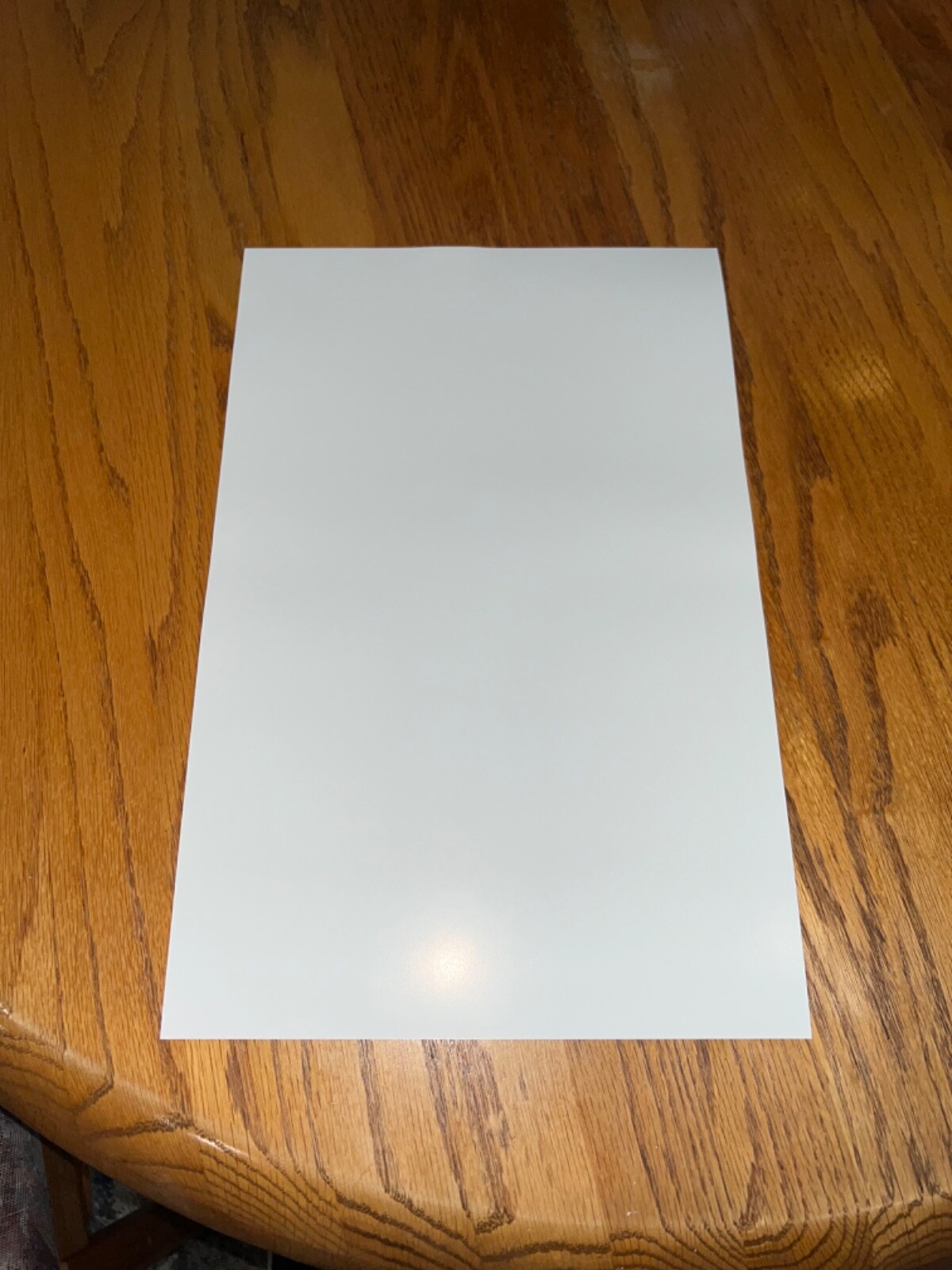 Kingdom of the Planet of the Apes (2024) 11X17 Movie Poster NEW