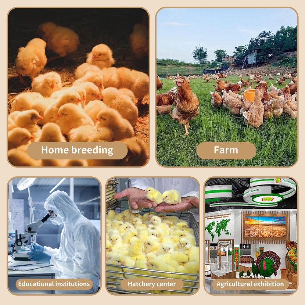 22-Piece Large Chicken Brooder Box 32", All-in-One Kit Brooder Box, Up to 35 ...