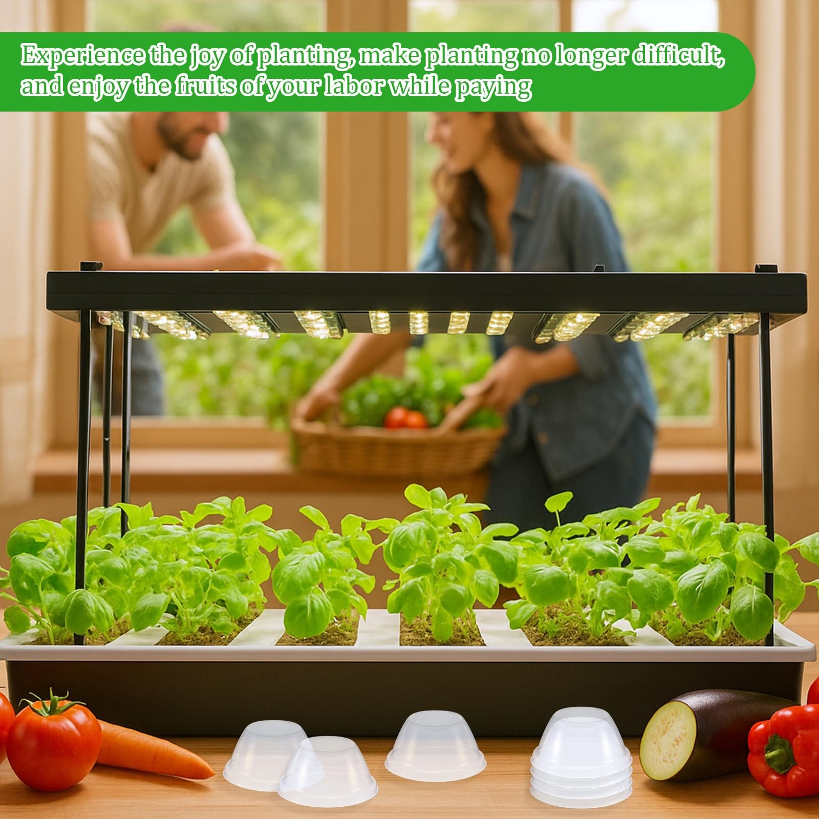 50 Pcs Humidity Domes for Plants Outer Diameter 4.7 cm/1.85 inch transparent