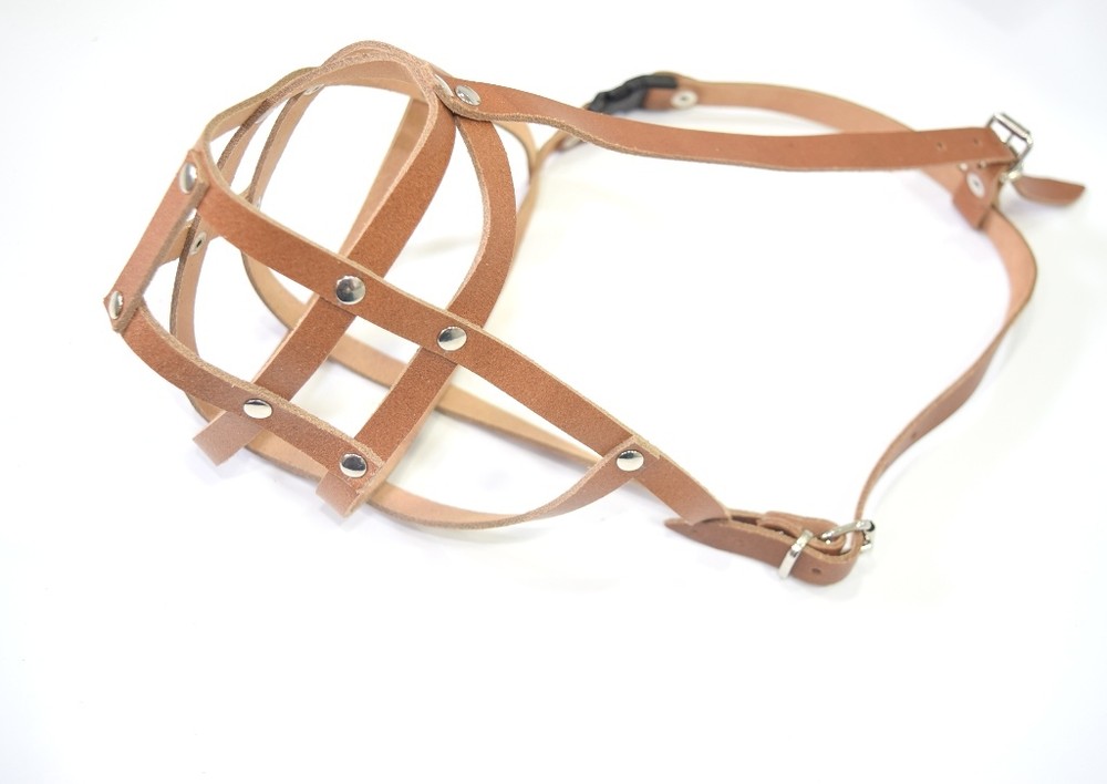 Light Leather dog Muzzle Chow Chow & Other similar snouts