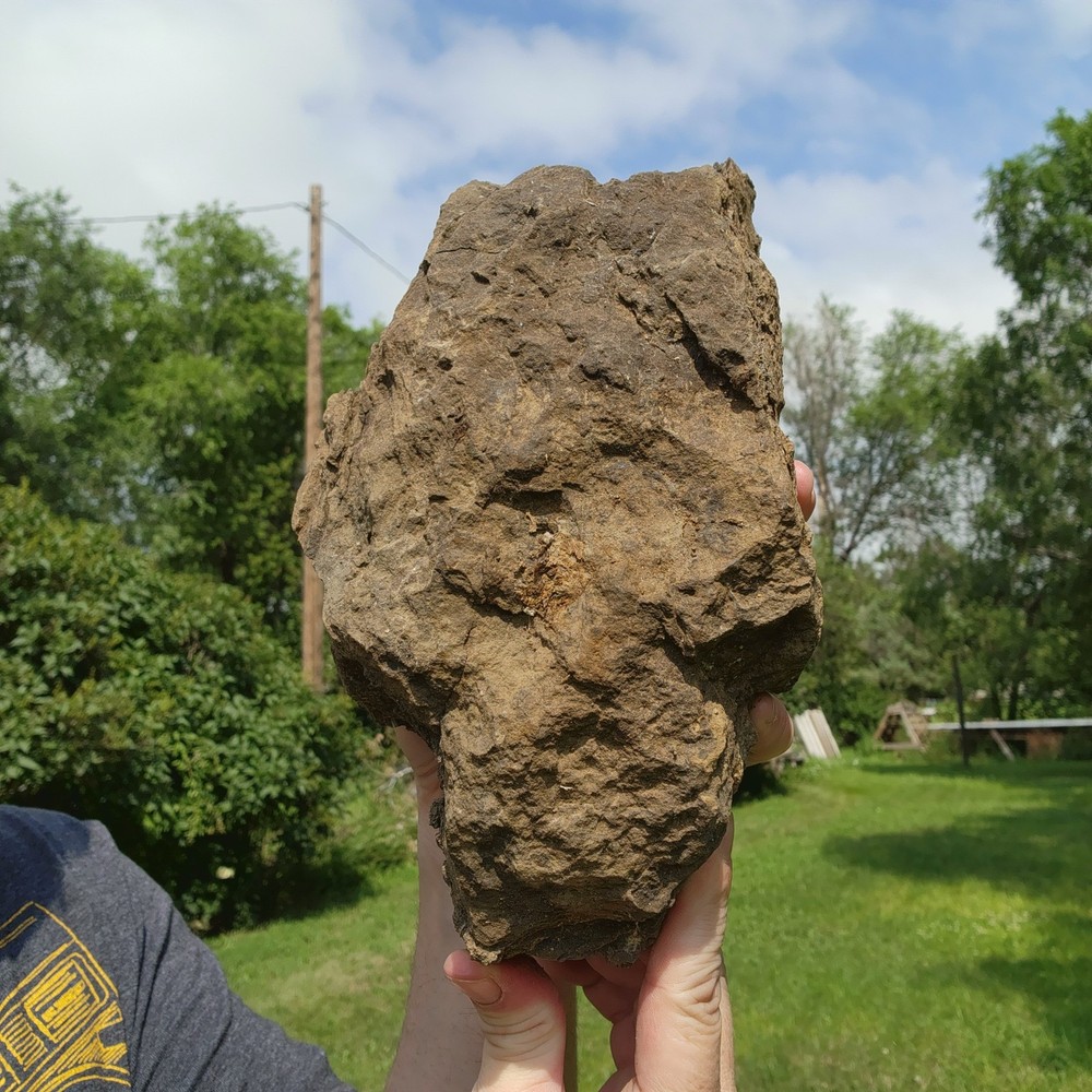 Large Heavy Dinosaur Bone Section - Authentic Fossil - from Hell Creek Formation