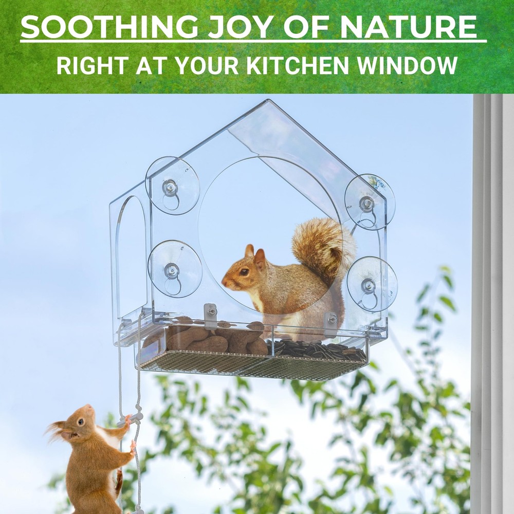 Window Squirrel Feeder - Funny Chipmunk Feeder - Easy Install - No Assembly