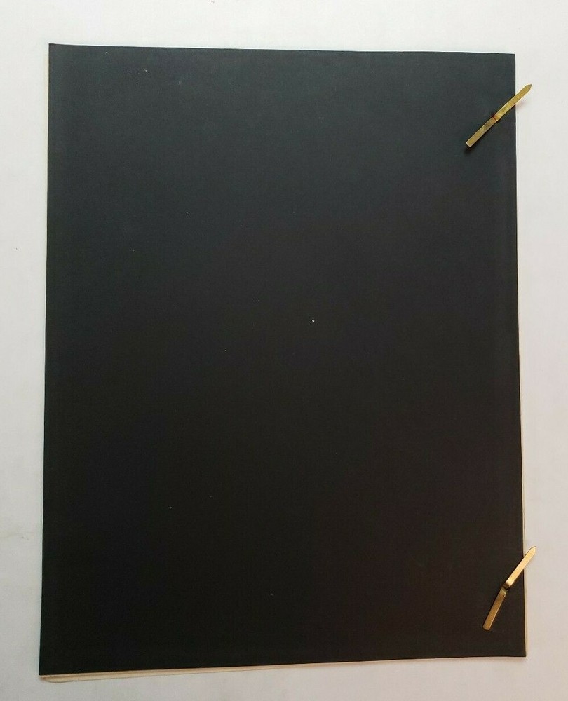 THE TIJUANA BRATS / Bernard Rothman 1970's Unproduced Treatment Script