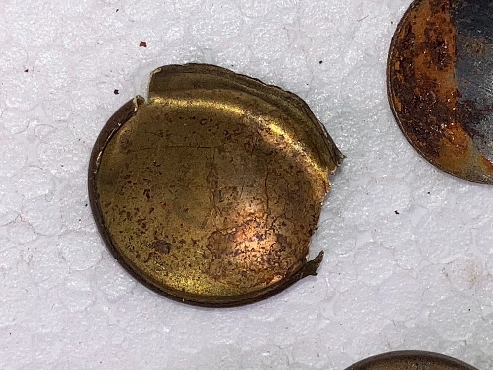 8 Antique Solid Brass Shell Drawer Door Pull Knob Handle Cupboard Screw 2 cm