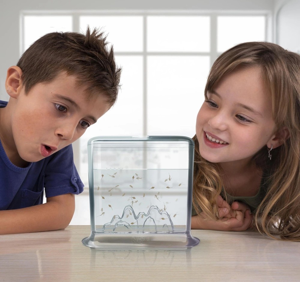 Animagic Aqua Dragons Hatch 'n' Grow Basic Tank | Build an Aquatic Ecosystem,...