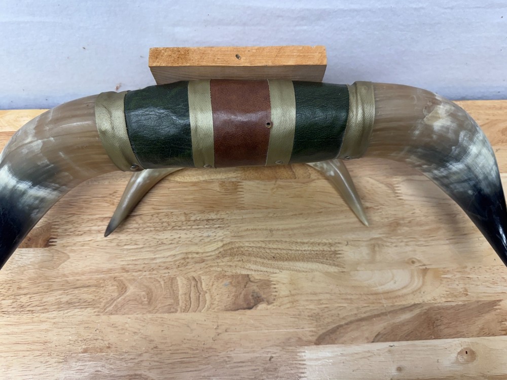 Mounted Steer Bull Horns Set