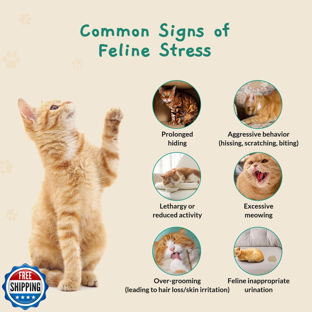 Pawith Cat Calming Diffuser for Travel – Pheromone Diffuser for Cats and Kitt