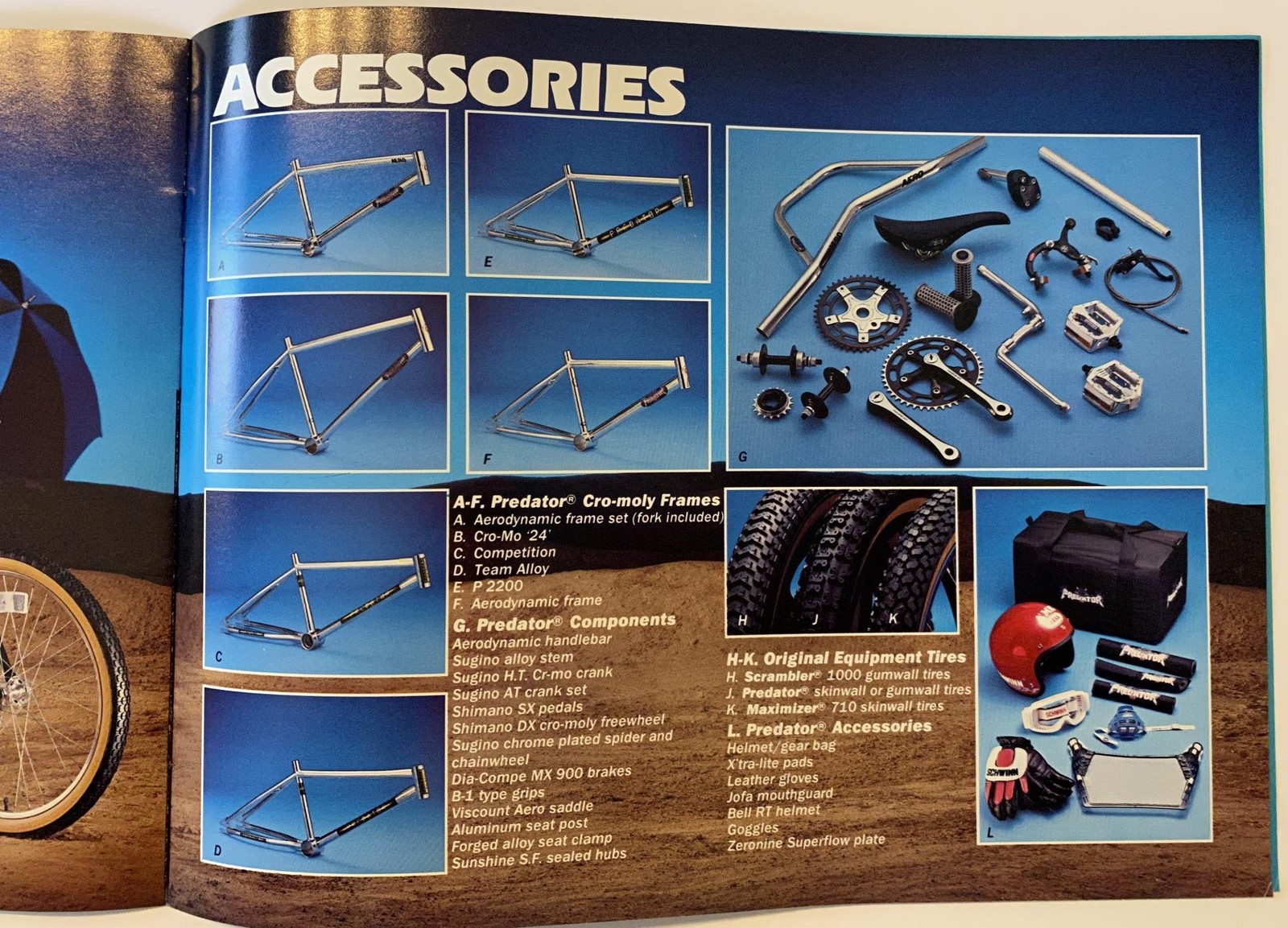 original 1984 Schwinn Bicycle Co. BMX CATALOG brochure Predator Sting Thrasher