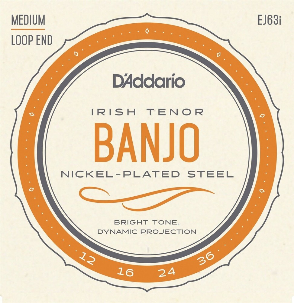 D'Addario Irish Tenor Banjo Strings EJ63i Medium Loop End
