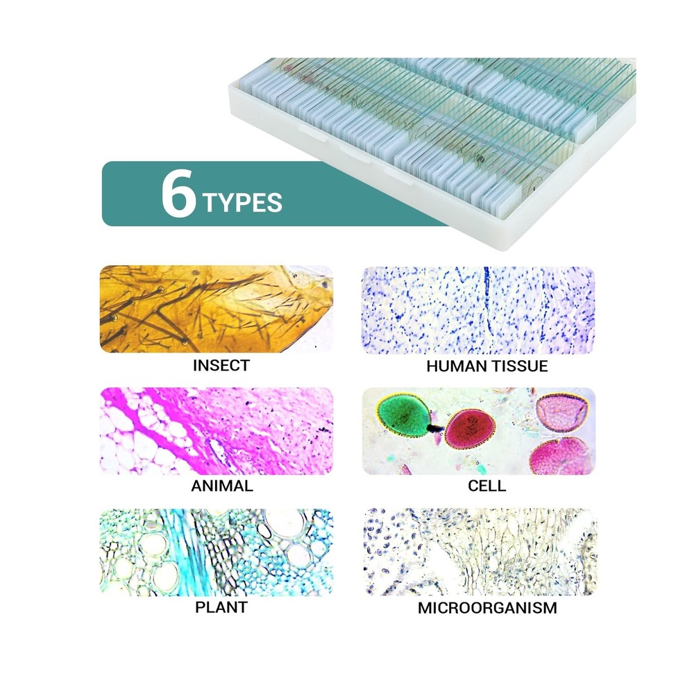 100Pcs Microscope Slides with Specimens, Prepared Microscope Slides with Inse...