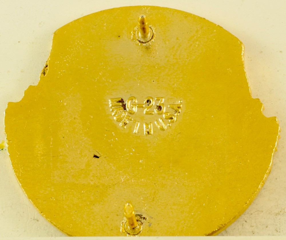 300th Support Battalion Crest DI/DUI CB G23 HM